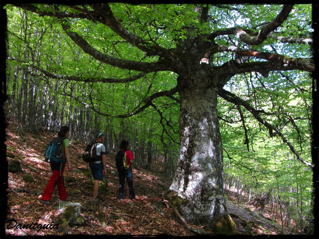 Sierra de la Demanda