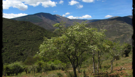 Sierra de la Demanda: Situación geográfica y lo que hay que ver y hacer