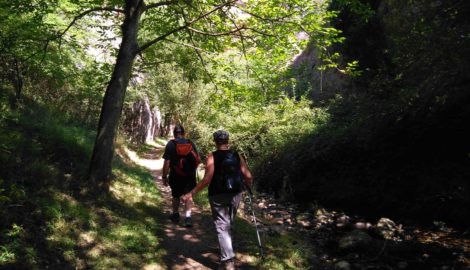 Turismo activo y de naturaleza por la Sierra de la Demanda- La Rioja