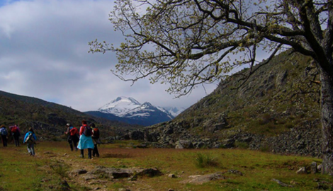 PICO EL CERVUNAL (2.443 m)