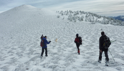 PICO GATÓN                      (2.038 m)