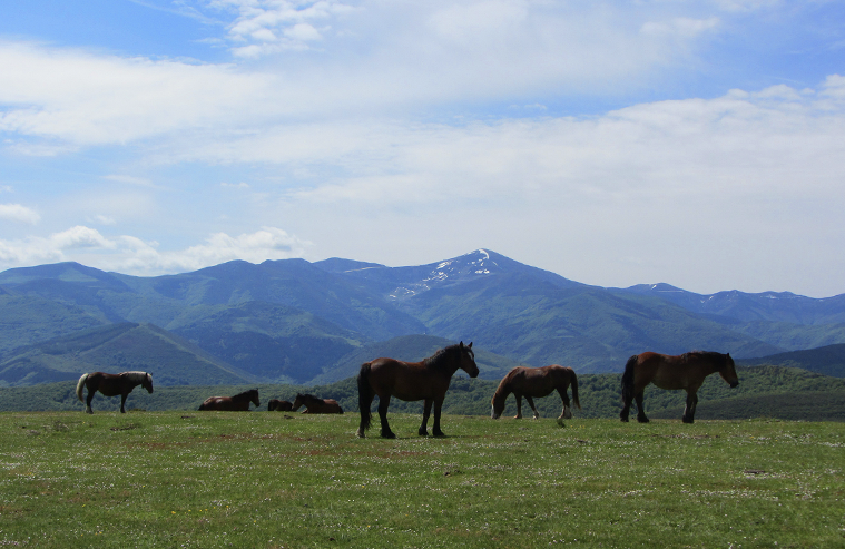 Rutas por Zabárrula