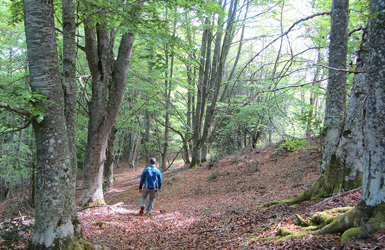 Rutas por Zabárrula