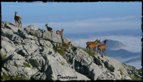 Rutas en Picos de Europa: Aspectos a tener en cuenta